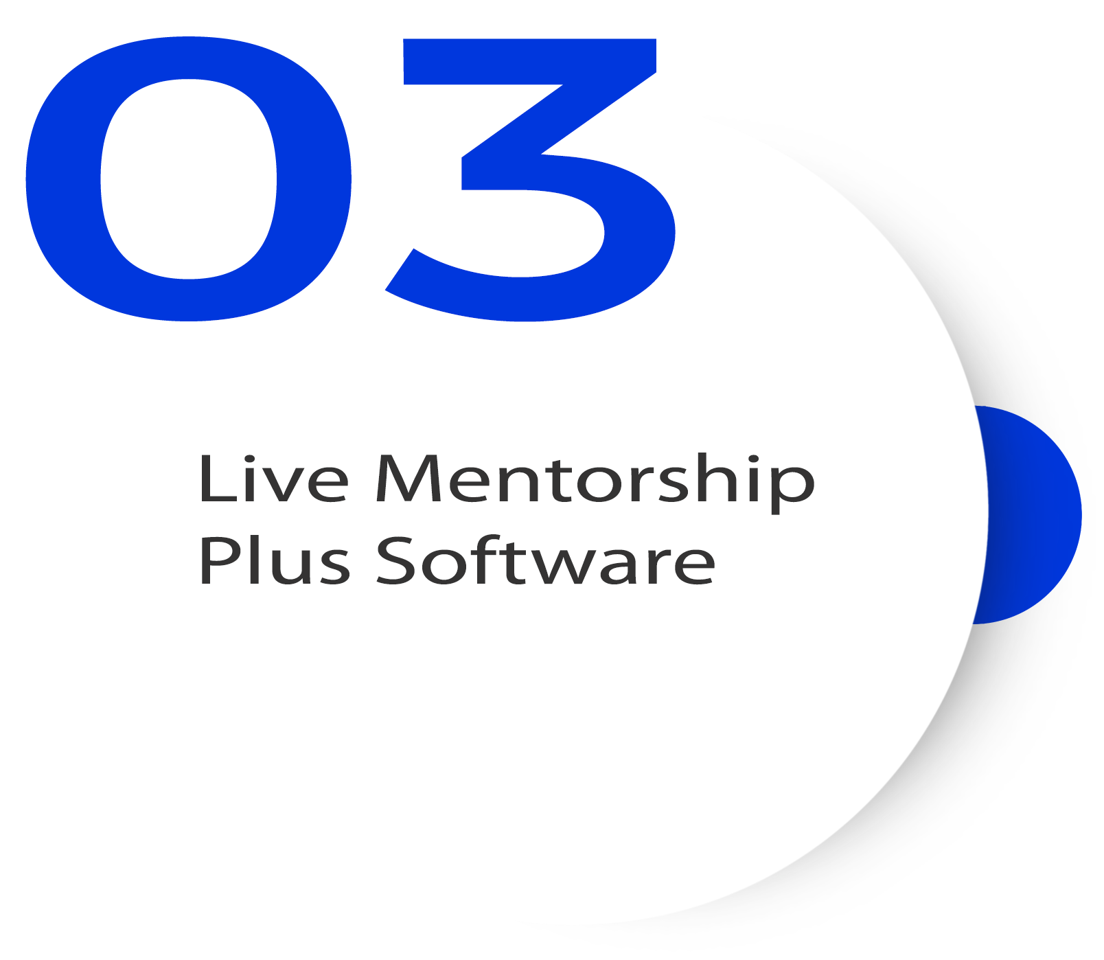 live mentorship image
